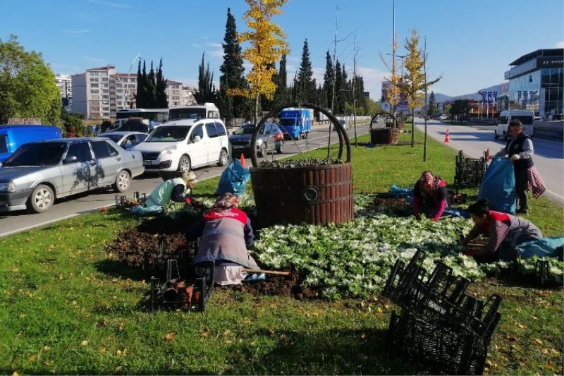 Mevsimlik çiçekler toprakla buluşuyor