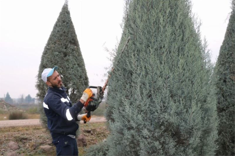 Kocaeli Kartepe Suadiye Kavşağında ağaçlar budandı