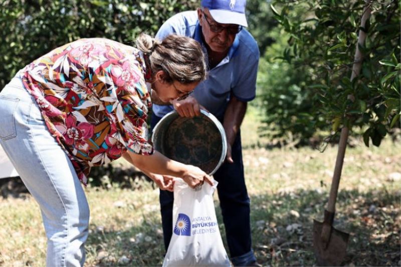 Büyükşehir çiftçinin toprağını analiz ediyor