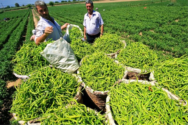 Ukrayna Tarım Heyeti Bursa Yenişehir Ovası