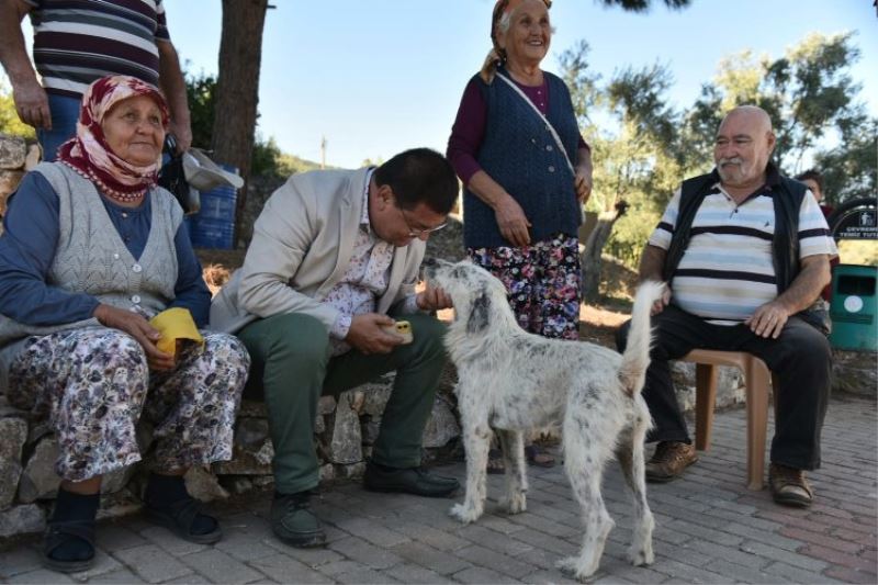 Muğla Milas