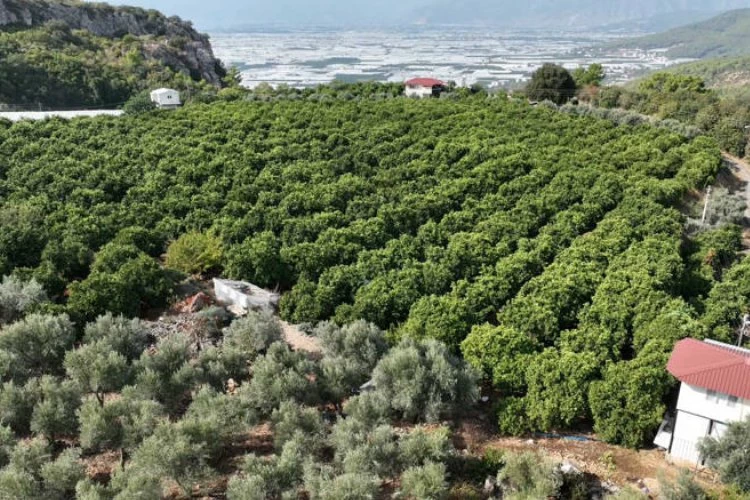 Kapalı devre sulama yüzleri güldürdü