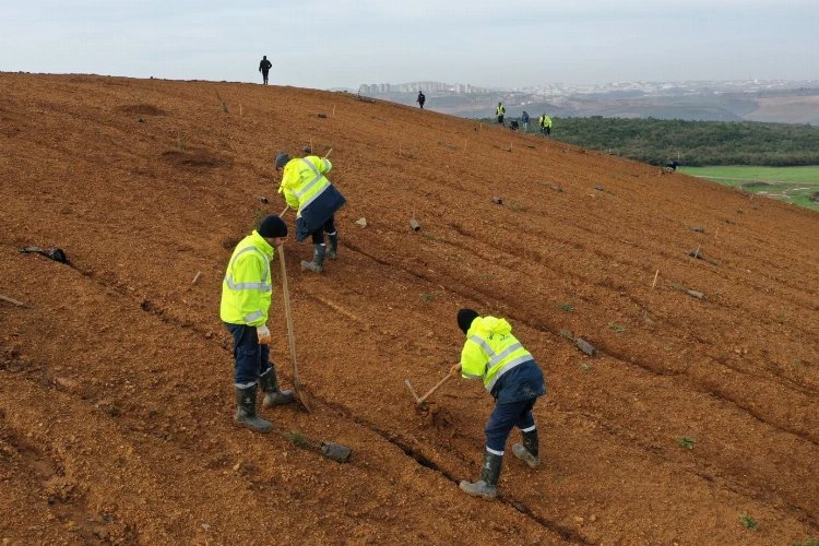 Dilovası’nda geleceğe 8 bin ağaçlık nefes