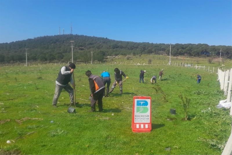 Çöplerin yerini zakkum çiçekleri alıyor