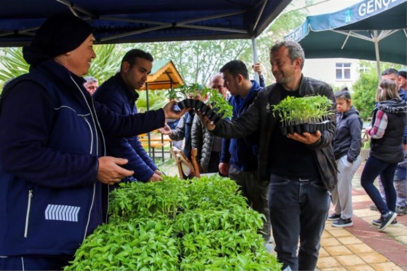 Ücretsiz fideyi alan tarlaya koştu