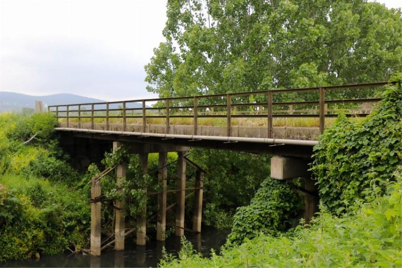 Sakarya Söğütlü