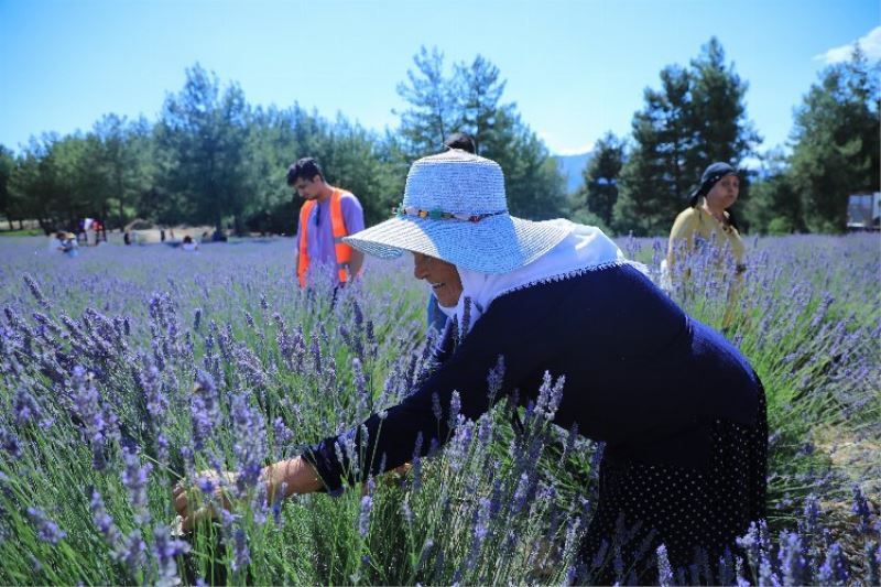 Muğla