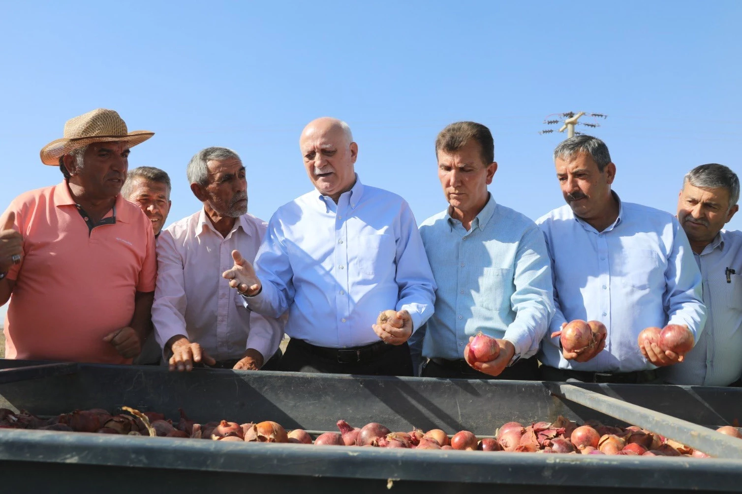 TZOB: Patates ve kuru soğana müdahale şart!