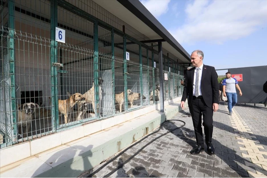 İnegöl’de sokak hayvanları için yeni adımlar atılıyor