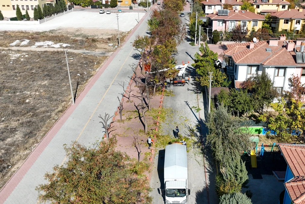 Konya Selçuklu