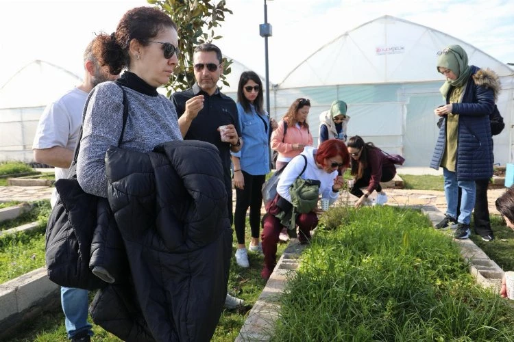 İzmit Belediyesinden permakültür eğitimleri