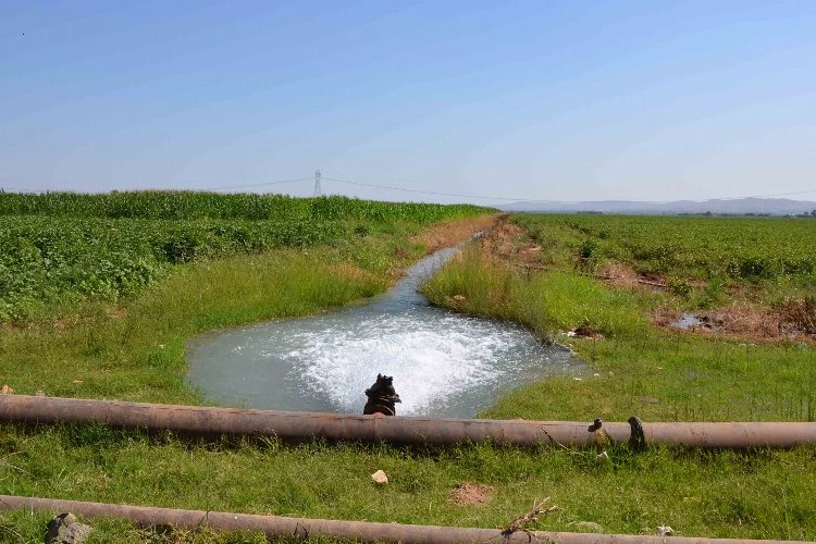 18 bin çiftçiyi ilgilendiriyor! Şanlıurfa ve Mardin