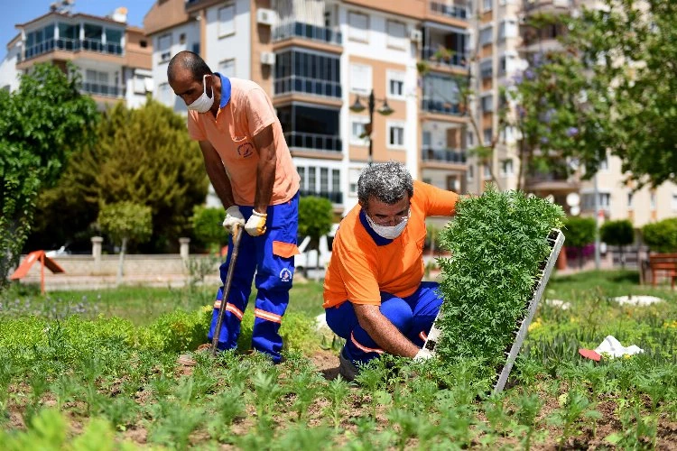 Muratpaşa’da dolu dolu bir hafta