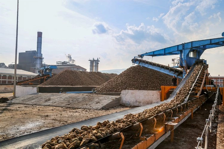 Kayseri Şeker, sadece çiftçiye değil nakliyeciye de kazandırıyor