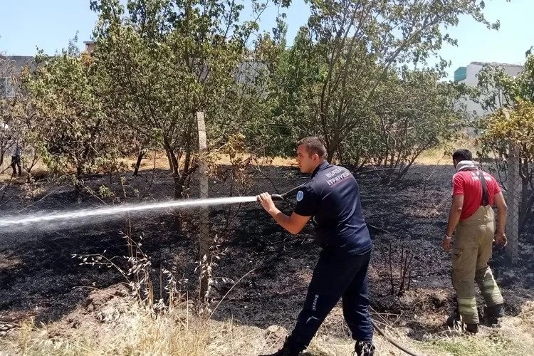 Bursa Yolçatı