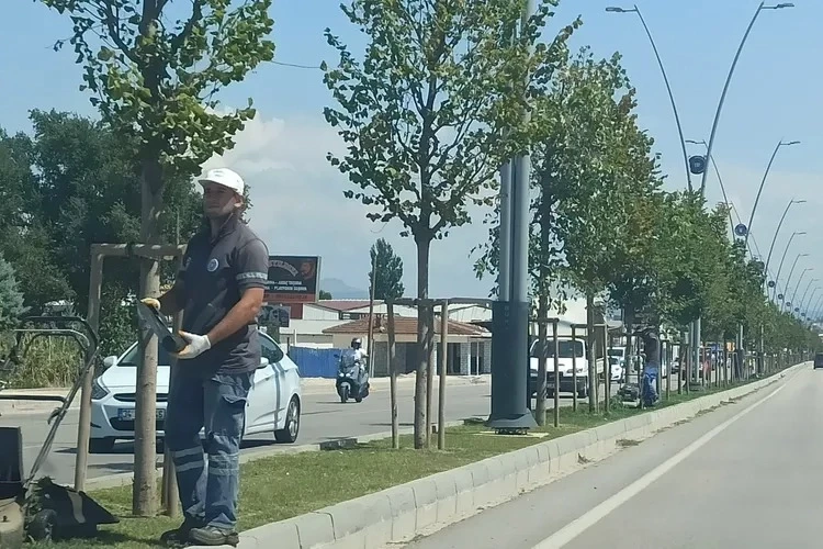 Nilüfer Belediyesi çevre düzenlemelerini sürdürüyor