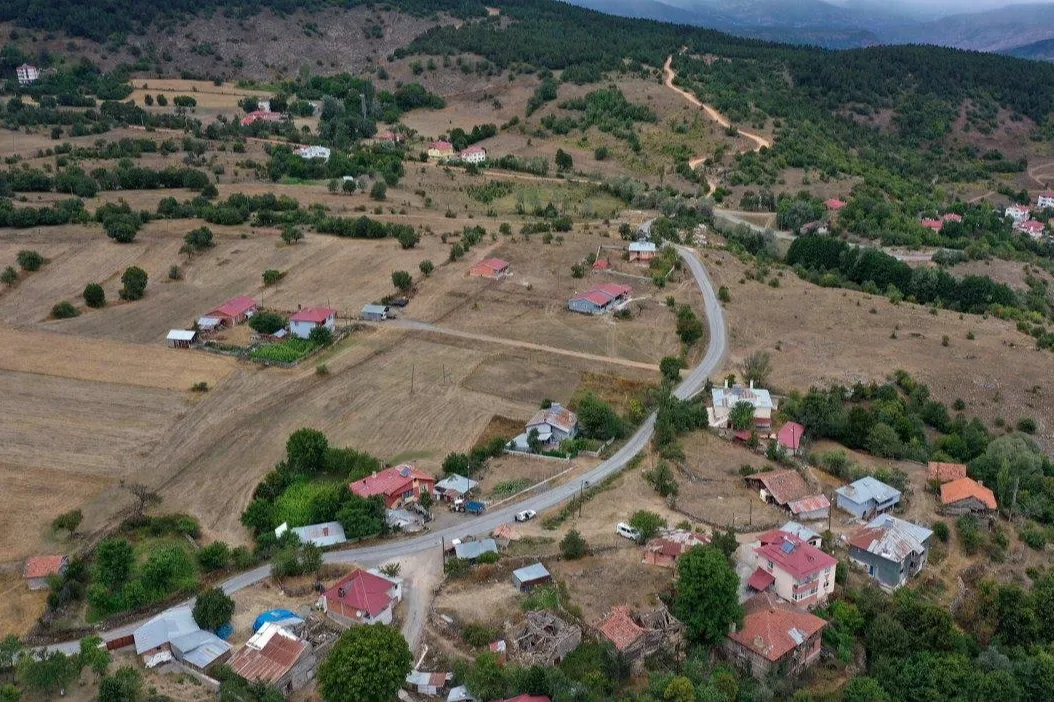 Ordu
