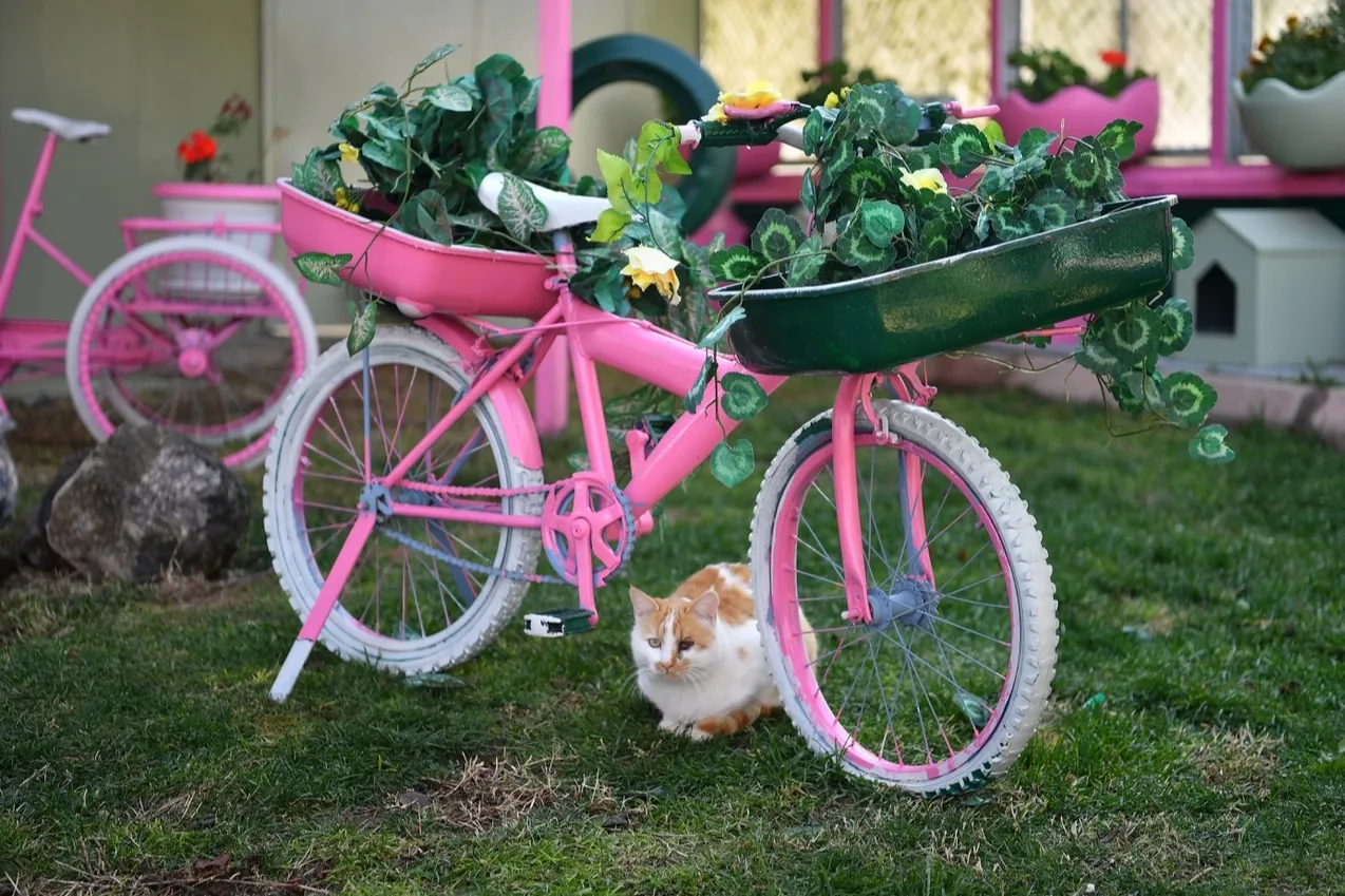 Kayseri Büyükşehir