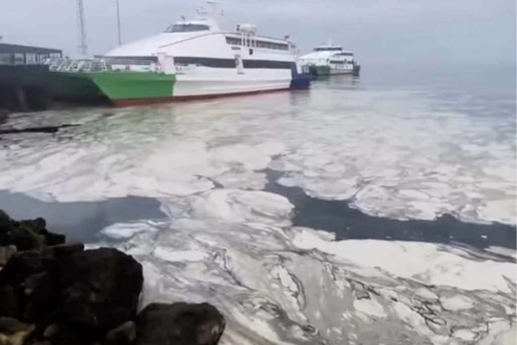 Marmara’nın çığlığına Bursa