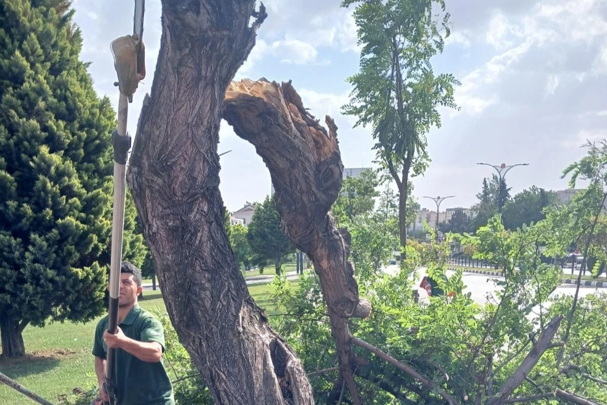 Manisa