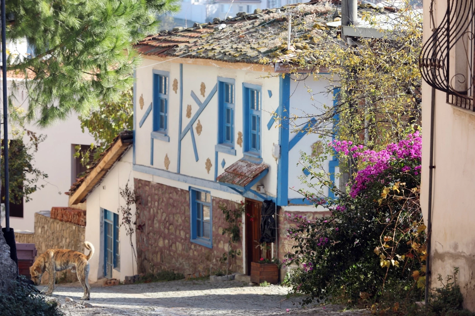 Bursa Mudanya