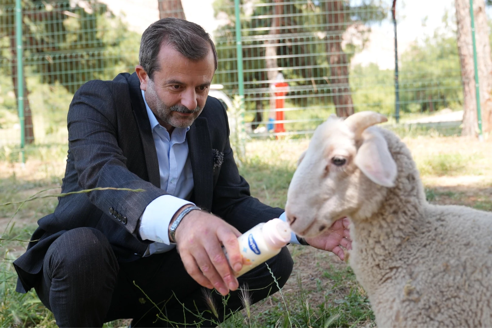 Bursa Gürsu