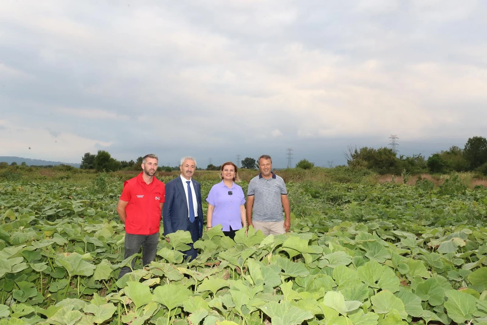İzmit
