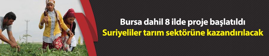 Bursa