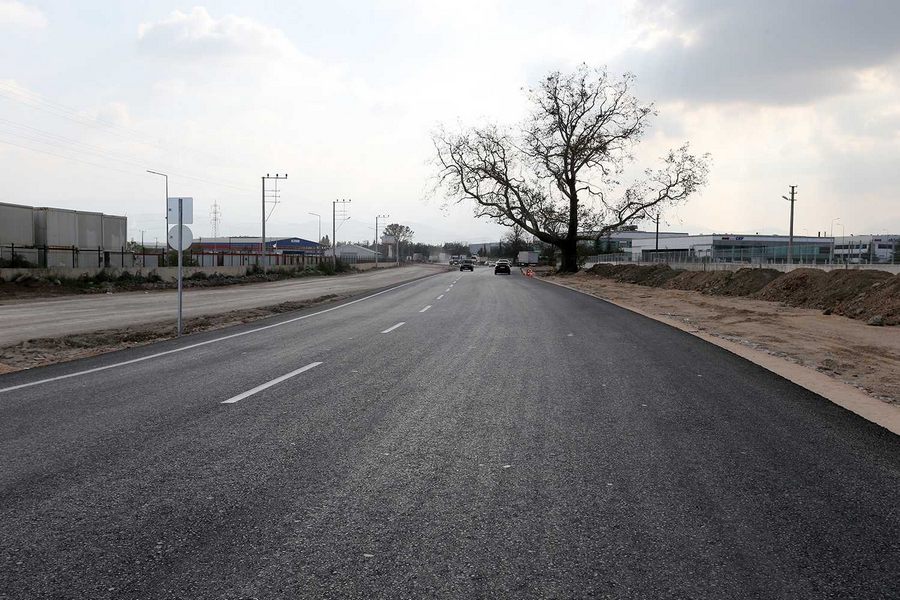 Asırlık çınar ağacı için güzergah değişti