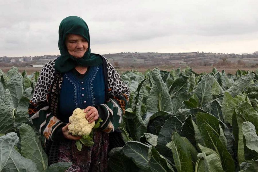 Yerli tohumdan ürettiği ürünleri pazarda satıyor