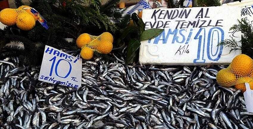 Hamsi bolluğu fiyatlara yansıdı