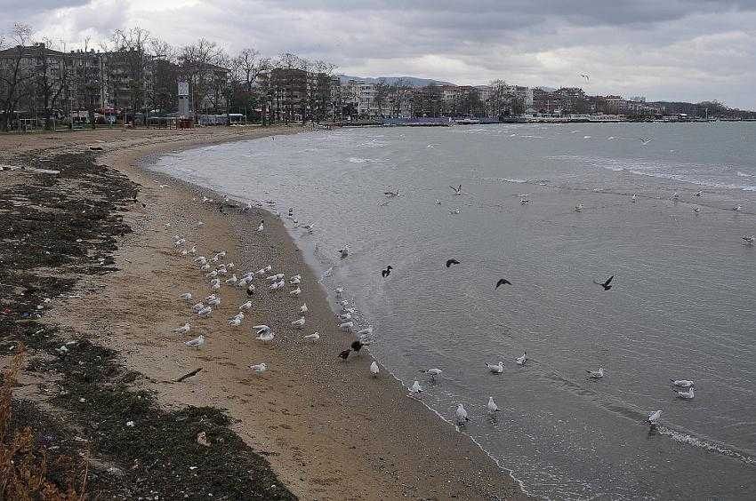 Yalova