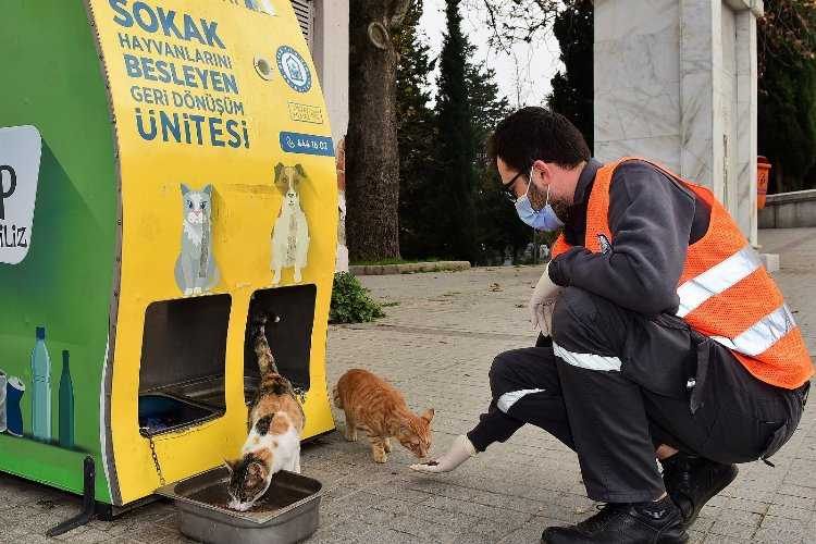 Bursada Yıldırım Belediyesi can dostlarına yuva olmayı sürdürüyor