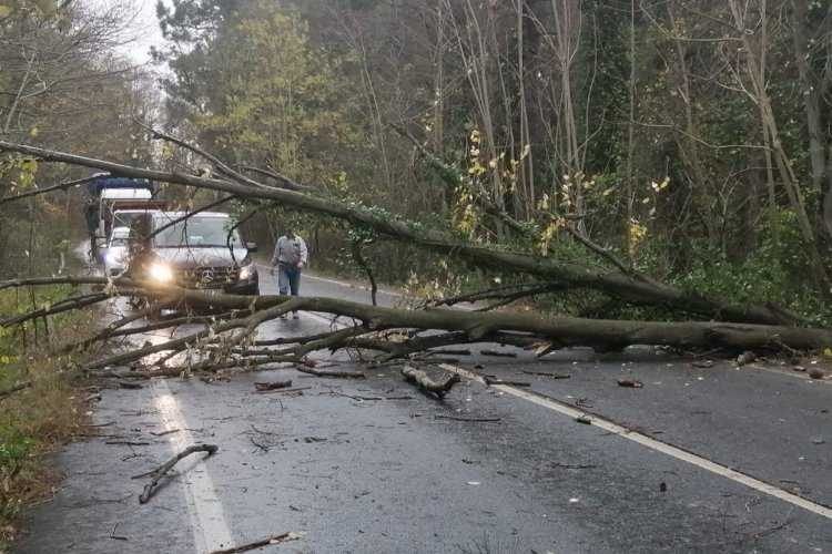 AFADdan lodos bilançosu: 5 ölü, 52 yaralı