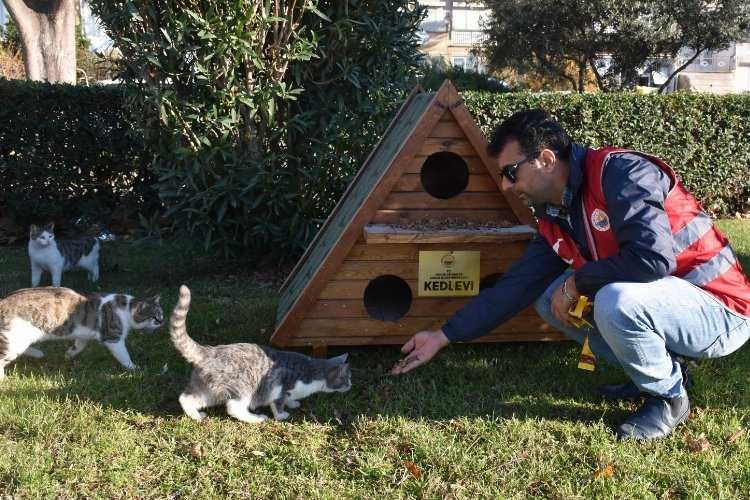 Bursa Gemlikte lodos sonrası kedi evlerine bakım