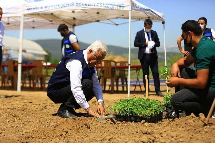 Muğlada 13 bin 316 toprak, bitki ve su analizi yapıldı