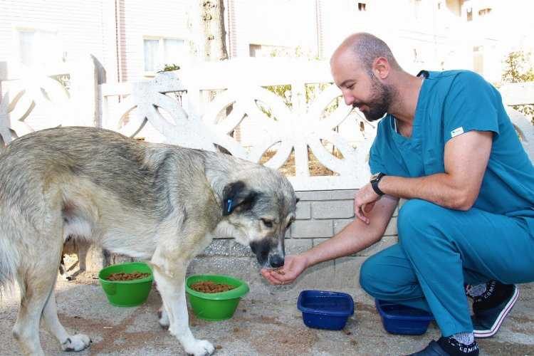İzmir Mendereste sokak hayvanları unutulmuyor 