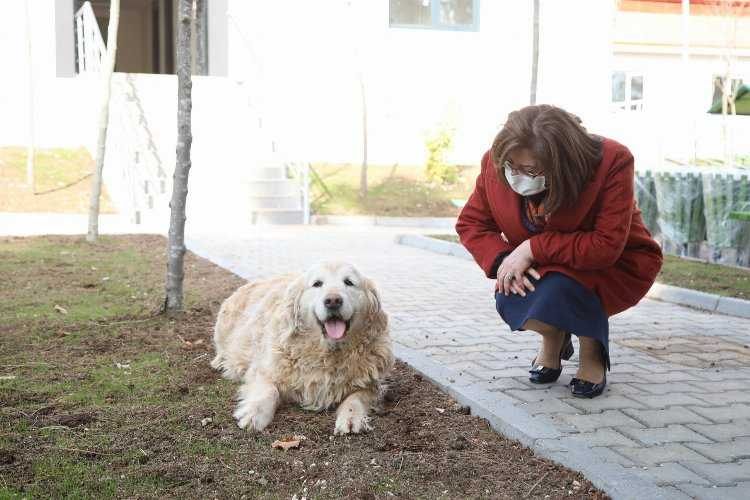 Gaziantepte yeni barınakta incelemeler yapıldı 