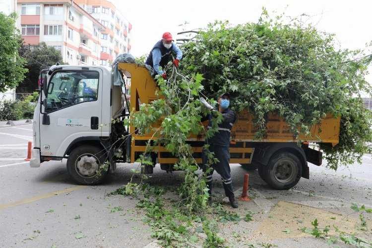 Kocaeli İzmitte çocuklar meyveleri dalından yiyecek 