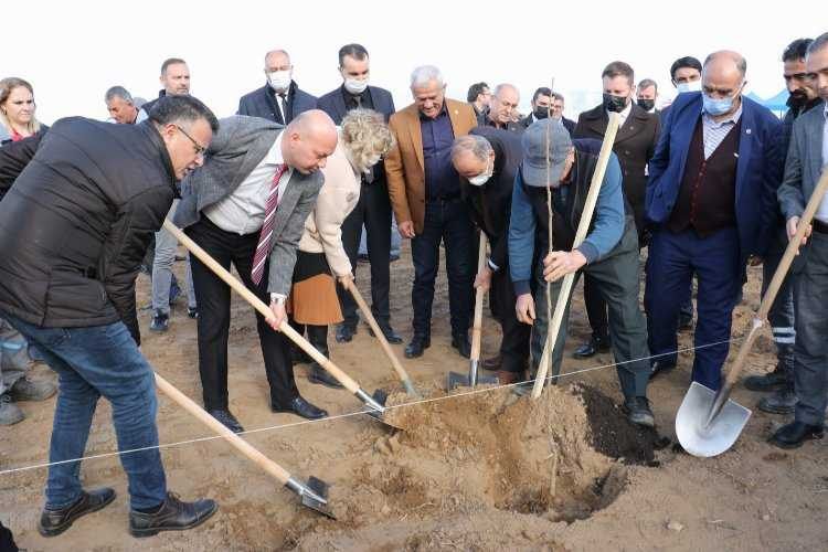 Manisa Alaşehirde cennet hurmaları toprakla buluştu