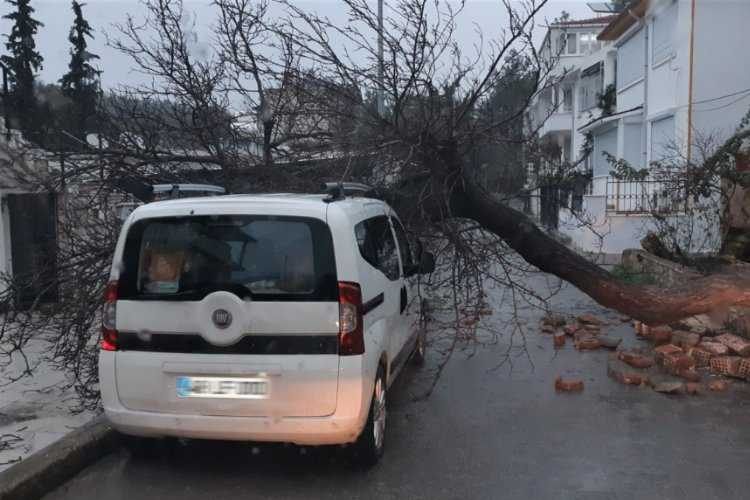 Muğla Bodrumdaki selin bilançosu ortaya çıktı: 130 ev ve iş yeri zarar gördü