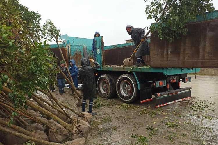 Manisa’nın yeşiline 1110 ağaçlık katkı daha yapılacak