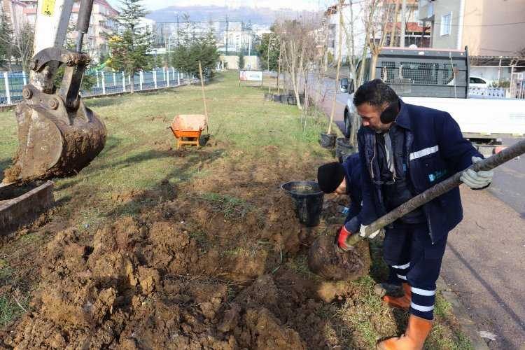 Kocaeli İzmit Yeşilova Mahallesinde bitkilendirme çalışması