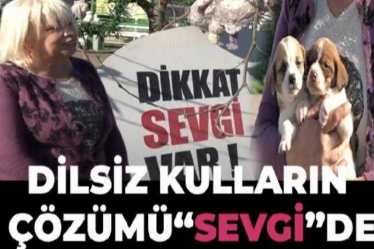 Dilsiz kulların çözümü “Sevgi”de