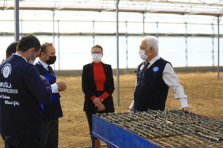 Muğla Büyükşehir yağmur hasadıyla yılda 300 ton su tasarrufu sağlıyor