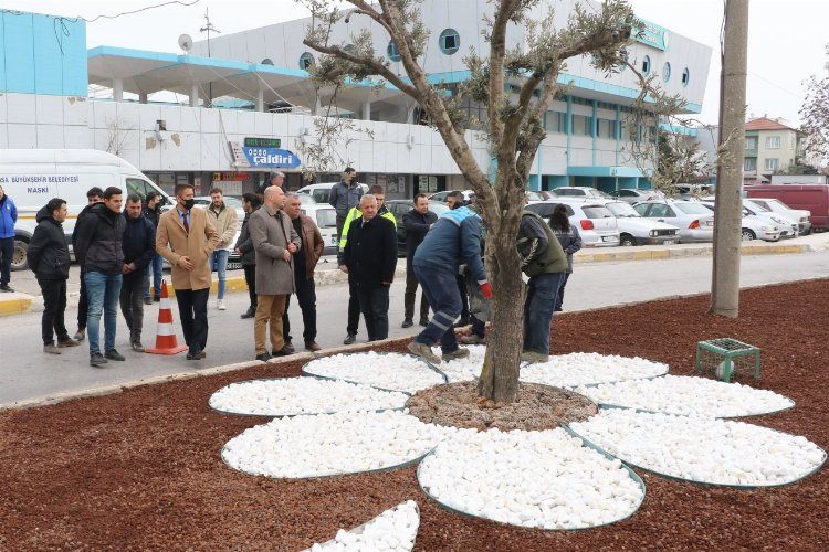 Manisa Akhisarda peyzaj çalışması