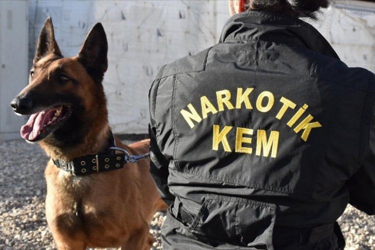 Hakkaride dedektör köpekler polisin büyük destekçisi