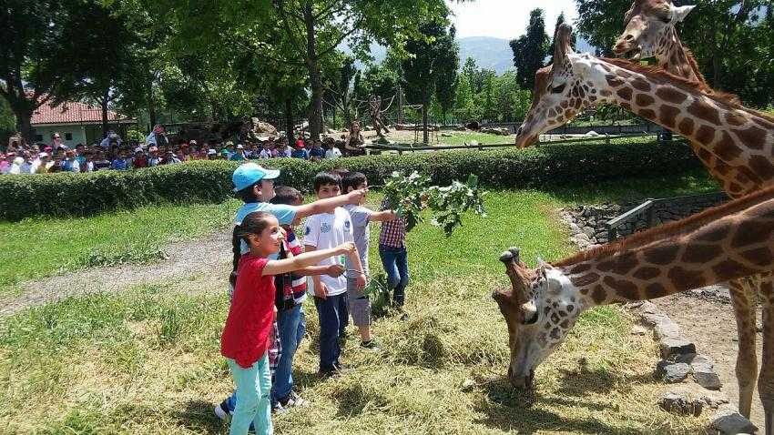 Bursa Hayvanat Bahçesi’nde bayram rekoru