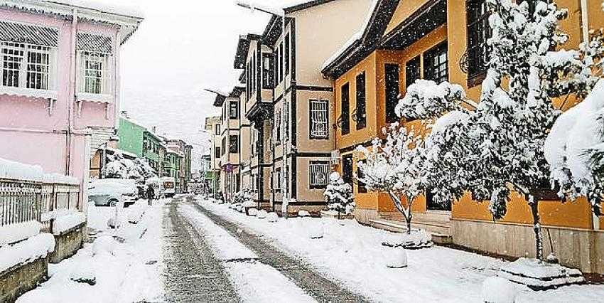 Bursa