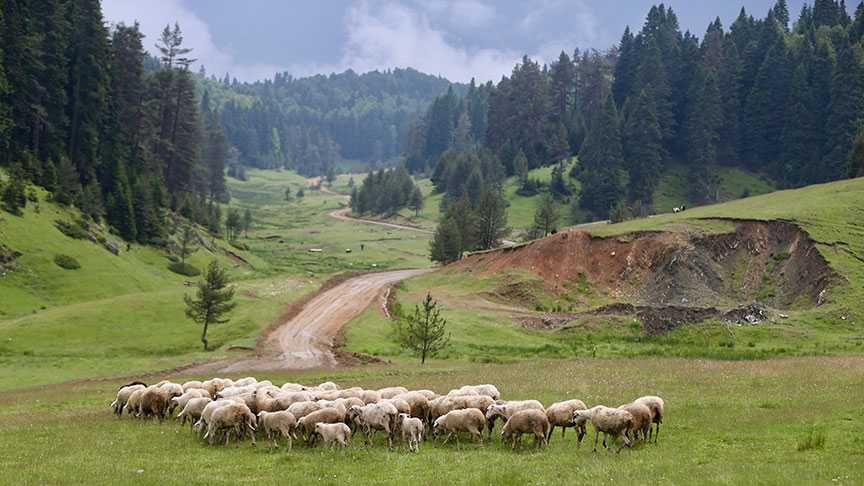 Batı Karadeniz